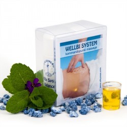 Wellbi System